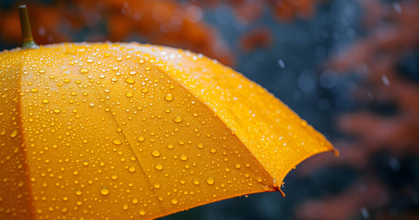 România se confruntă cu temperaturi scăzute: patru zile de frig, ploi și ninsori puternice. Care este prognoza pentru București? 1 vremea ramane rece in romania urmeaza patru zile de frig ploi si ninsori viscolite cum va fi vremea in bucuresti 68e247dbe1478