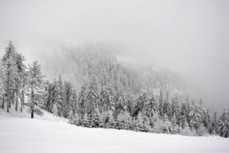 zapada si vant puternic la munte traseele turistice din bucegi baiului si ciucas au fost inchise temporar din cauza vremii 68de48a3902de
