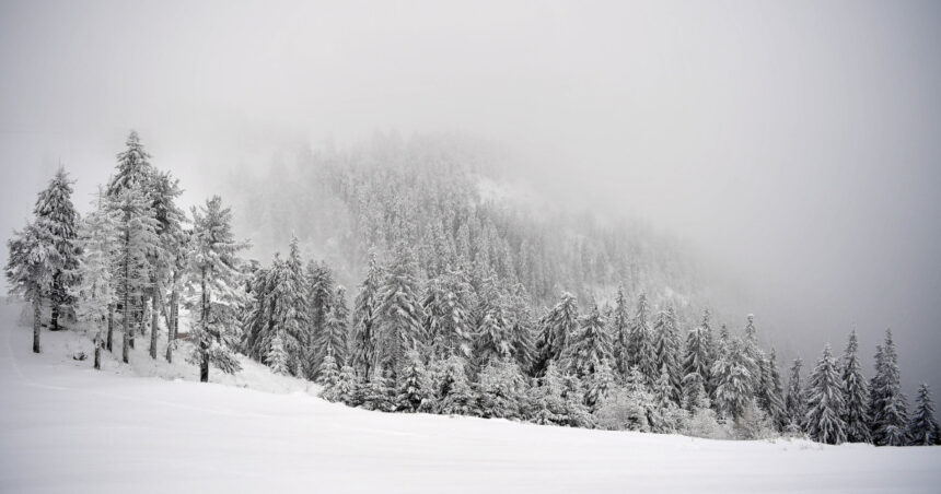 Furtună de iarnă în Carpați: Accesul pe traseele din Bucegi, Baiului și Ciucaș este suspendat din cauza condițiilor meteo severe 1 zapada si vant puternic la munte traseele turistice din bucegi baiului si ciucas au fost inchise temporar din cauza vremii 68de48a3902de