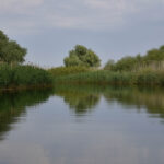 accident in delta dunarii doua ambarcatiuni de agrement s au ciocnit un tanar a fost ranit 692440e277cc6