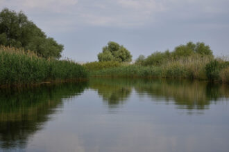 accident in delta dunarii doua ambarcatiuni de agrement s au ciocnit un tanar a fost ranit 692440e277cc6