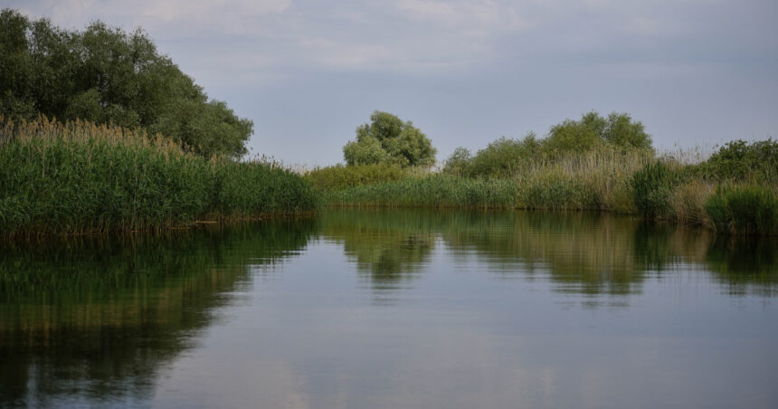 accident in delta dunarii doua ambarcatiuni de agrement s au ciocnit un tanar a fost ranit 692440e277cc6