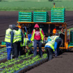 acord provizoriu in ue pentru sectorul agricol fermierii ar putea economisi pana la 16 miliarde de euro pe an 69132410cee6c