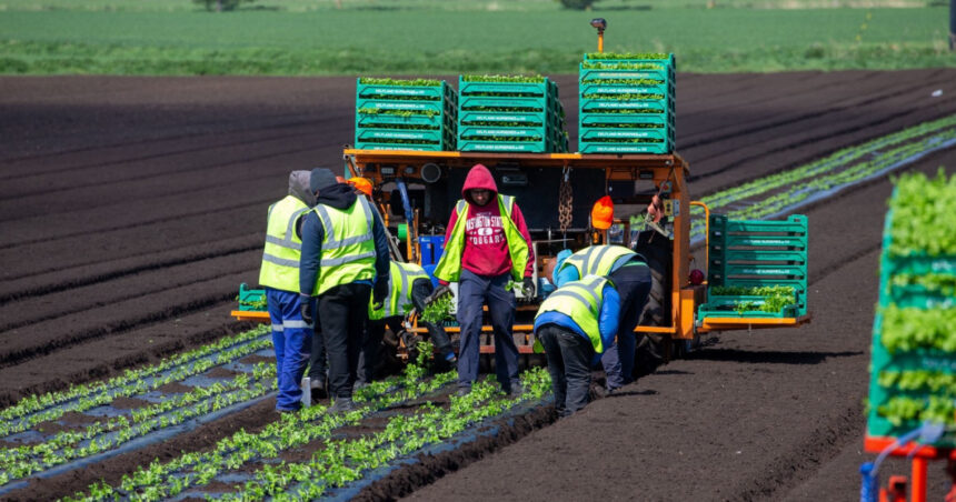 acord provizoriu in ue pentru sectorul agricol fermierii ar putea economisi pana la 16 miliarde de euro pe an 69132410cee6c