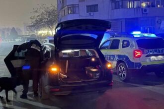 actiuni blocada si blitz in medgidia 6919e78acbd65