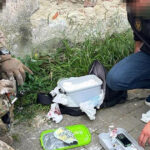 adolescenti si copii ucraineni de pana la 11 ani recrutati pe telegram pentru sabotaje a facut 500 de km sa ridice o bomba 691eb7bde2d90