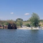 agricultorii au invins turismul la mahmudia instanta a hotarat definitiv refacerea digului desi acesta a dus la dezvoltarea zonei 690e8bfb554d5