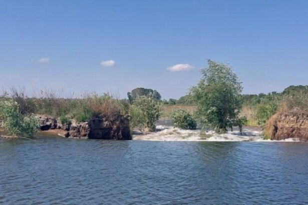 agricultorii au invins turismul la mahmudia instanta a hotarat definitiv refacerea digului desi acesta a dus la dezvoltarea zonei 690e8bfb554d5