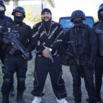 analiza ce au in comun dani mocanu alina bica ionel arsene si mario iorgulescu cum ar putea scapa manelistul de executarea pedepsei 69135c639379c