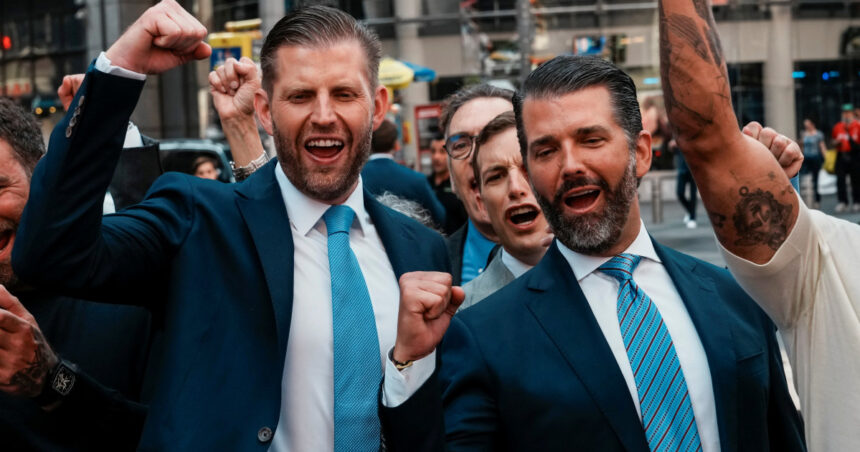 analiza dezvaluiri despre masinaria de facut bani din criptomonede a familiei trump cat de important e numele presedintelui sua in afacere 69061838055ed