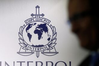 au reinceput escrocheriile in numele interpolului mai multi constanteni au primit e mailuri ca sunt cercetati ce spun autoritatile 69165c5eacf5e