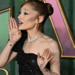 barbatul care a bruscat o pe ariana grande la premiera filmului wicked for good condamnat la inchisoare in singapore 691afb8d37a43