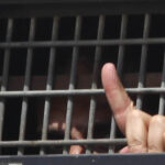 cati palestinieni au murit in custodia israeliana din octombrie 2023 in ciuda acestui numar mare in doi ani nimeni nu a fost arestat 691b099243a6a