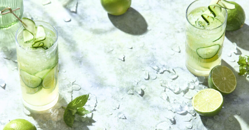 cea mai inalta instanta europeana a decis daca se cheama gin atunci neaparat trebuie sa contina alcool 6916503cf2937