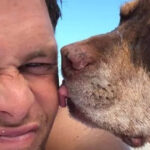 celebrul sportiv tom brady si a clonat cainele si traieste de 2 ani cu o clona a oferit familiei mele o a doua sansa 690bc3128bb78