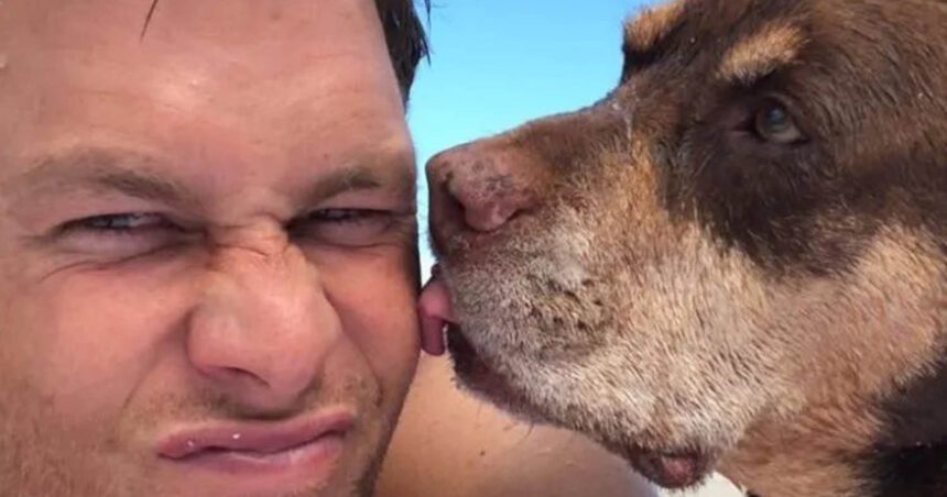 celebrul sportiv tom brady si a clonat cainele si traieste de 2 ani cu o clona a oferit familiei mele o a doua sansa 690bc3128bb78