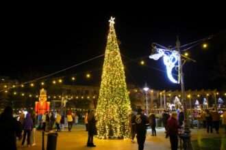 cine organizeaza targurile de craciun din constanta una dintre firme a fost implicata in scandalul petrecerilor private de pe faleza cazinoului 691af61f54684