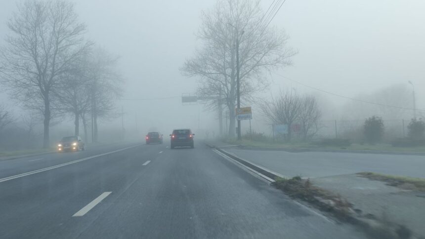 cod galben atentie soferi constanta si tulcea sub imperiul cetii ce spune politia romana 691187d37909e