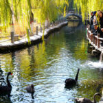 cum a devenit regiunea chineza controversata xinjiang un paradis turistic ceea ce experimenteaza este o versiune cosmetizata 69086de069a51