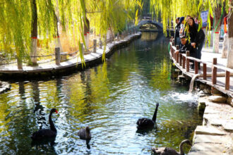 cum a devenit regiunea chineza controversata xinjiang un paradis turistic ceea ce experimenteaza este o versiune cosmetizata 69086de069a51