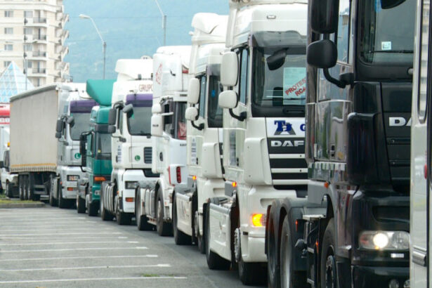 cum sunt afectati transportatorii de cresterea accizelor economist nu putem compensa prin taxe o colectare slaba 690c339d2bce0