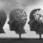 de ce persoanele cu alzheimer nu isi mai recunosc familia o noua descoperire a cercetatorilor ar putea preveni pierderea memoriei 6919e5d02017f