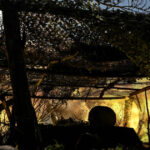 de ce vrea rusia sa cucereasca pokrovsk poarta spre donetk deepstate situatia este pe punctul de a deveni critica 6909b15187c76