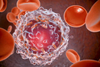 descoperire majora cercetatorii au reusit sa elimine complet leucemia in modele preclinice 690622d45c4c7