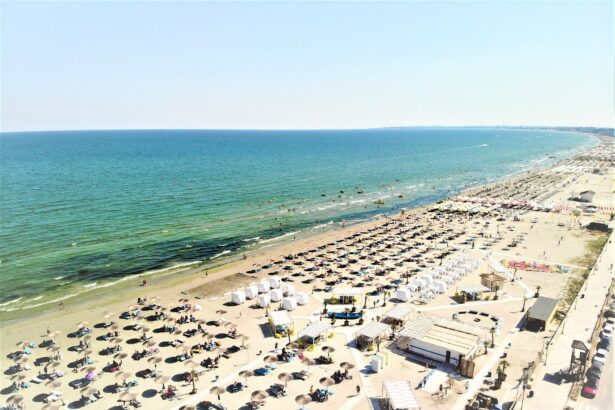 detalii din dosar un rival de al lui muschiulet din navodari din nou in prim plan din cauza geloziei 690be1f2eedb0