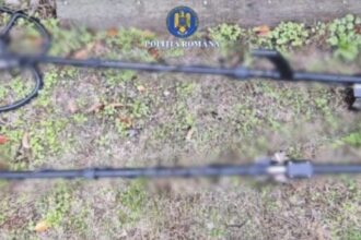 detectoare de metale fara autorizatie descoperite la mangalia si navodari politistii au dat amenzi si au confiscat echipamentele 69187740b1751