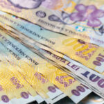 directia silvica arad pierderi de 12 milioane de lei doar in primele sase luni ale lui 2025 ministerul mediului sesizeaza procurorii 69289e94a08cd