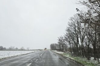 dobrogea se pregateste pentru o iarna geroasa varful perturbarii vortexului polar va lovi la sfarsitul lunii 6914e539463b7