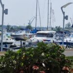 document doua terenuri trec din domeniul public in cel privat la mangalia firma tonomat star vizata in dosarul de coruptie al primarului suspendat radu cristian principalul beneficiar 6927916a9ba8d