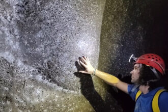 exclusiv ceva extraterestru cea mai mare panza de paianjen din lume descoperita de un cercetator roman in europa cum explica el fenomenul 69144f086574e