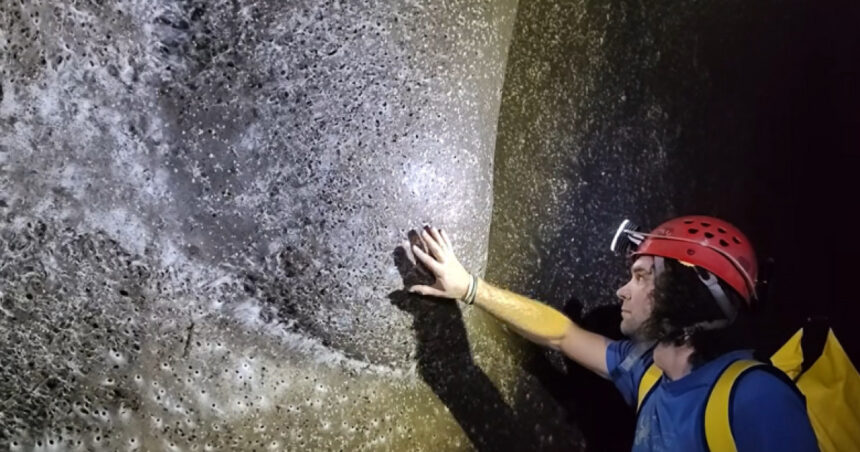 exclusiv ceva extraterestru cea mai mare panza de paianjen din lume descoperita de un cercetator roman in europa cum explica el fenomenul 69144f086574e