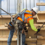 exclusiv guvernul reduce numarul muncitorilor straini cu 10 000 in 2026 patronatele au cerut o crestere explicatiile ministrului muncii 6905f19c11bab