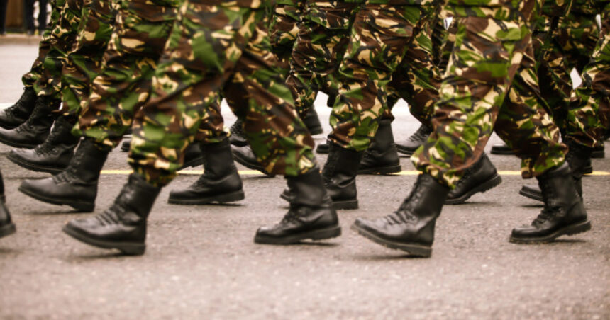 exclusiv premierul bolojan ministerul apararii trebuie sa isi faca o analiza de cheltuieli la voluntari trebuie inceput cu un numar mai mic 6928c562bef92