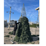 foto au inceput pregatirile pentru targul de craciun din constanta in piata ovidiu se monteaza primii brazi 6916d8841e353