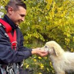 foto catel cazut intr o fantana adanca de aproximativ 15 metri salvat de pompierii tulceni 69099ed0a152f