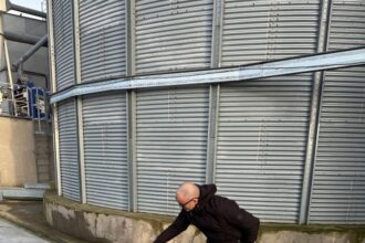 foto inspectorii dsvsa constanta verifica graul din silozuri pentru reziduuri de pesticide 691c5323e497b