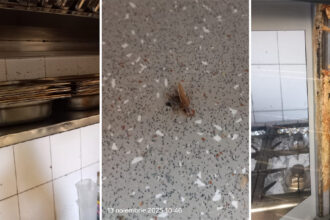 foto video barissimo cocktail bar si restaurantul popina din constanta inchise temporar de protectia consumatorilor ce nereguli crase au fost constatate 6915e9495f5ab