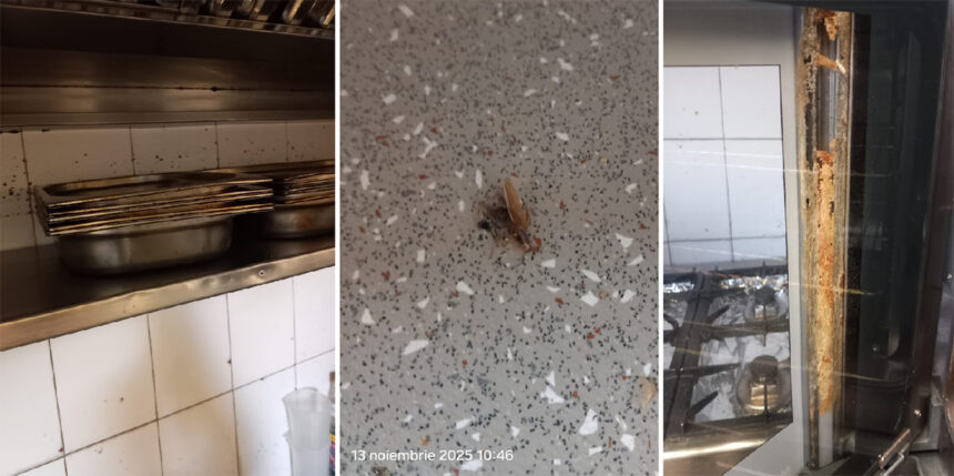 foto video barissimo cocktail bar si restaurantul popina din constanta inchise temporar de protectia consumatorilor ce nereguli crase au fost constatate 6915e9495f5ab