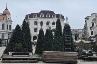 foto video cine organizeaza targul de craciun constanta 2025 in piata ovidiu si poarta 6 pregatirile sunt in toi 6919cfb97e629