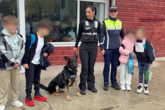 foto video politistii jandarmii si echipajele canine din constanta in mijlocul elevilor din municipiu o altfel de zi la scoala pe placul celor mici 690e2a9fdb05d