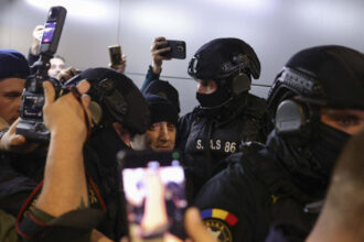 galerie foto primele imagini cu potra adus in catuse in tara busculada pe aeroportul otopeni 691f480297be4