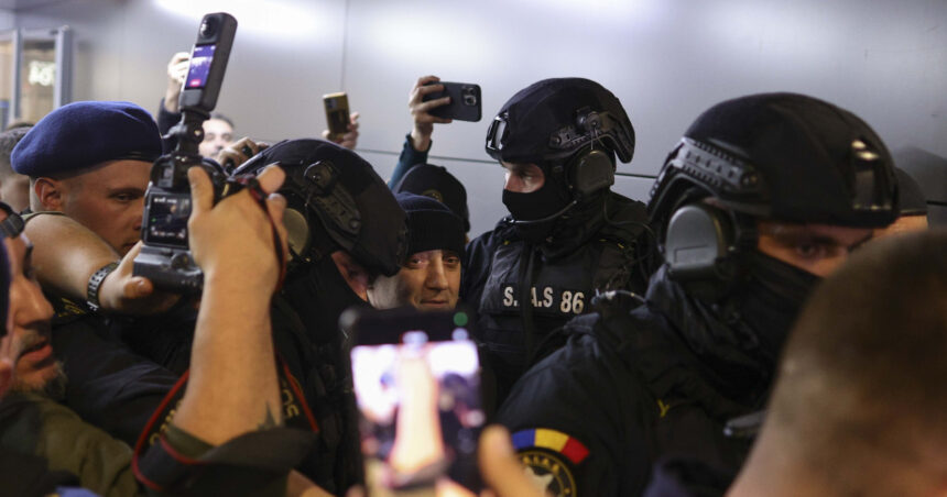 galerie foto primele imagini cu potra adus in catuse in tara busculada pe aeroportul otopeni 691f480297be4