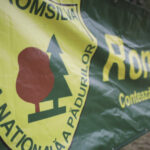 guvernul a aprobat ordonanta de urgenta pentru reorganizarea romsilva care sunt noile masuri ce vor intra in vigoare 691f0fb538c9b
