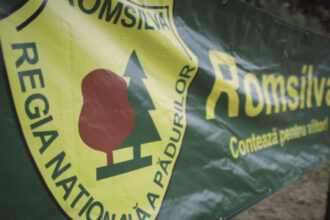 guvernul a aprobat ordonanta de urgenta pentru reorganizarea romsilva care sunt noile masuri ce vor intra in vigoare 691f0fb538c9b