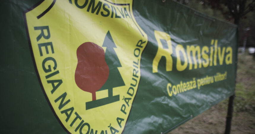 guvernul a aprobat ordonanta de urgenta pentru reorganizarea romsilva care sunt noile masuri ce vor intra in vigoare 691f0fb538c9b