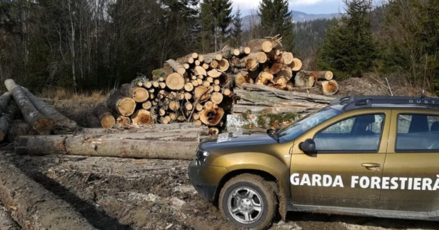 guvernul a aprobat reorganizarea garzii forestiere creste numarul posturilor pentru angajatii din teren 6916067f651ca